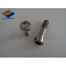 parafuso de titânio de alta resistência DIN6921 torx head